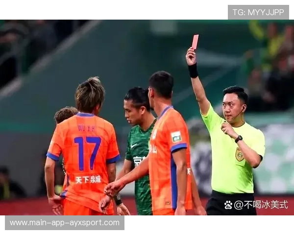 羽毛球赛裁判尺度统一化，减少争议提升比赛公平性