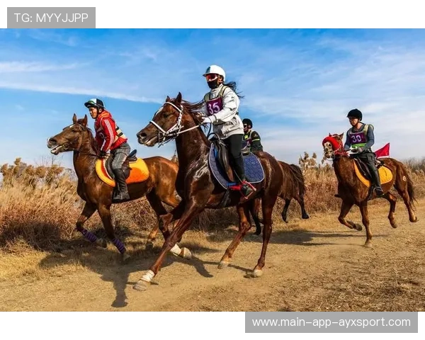 马术比赛裁判对动物福利提出新建议,行业规范化推进 马术比赛裁判对动物福利提出新建议,行业规范化推进